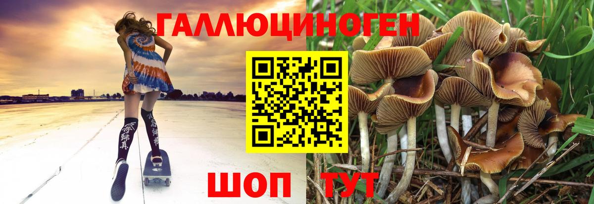 Галлюциногенные грибы Magic Shrooms Ростов Великий